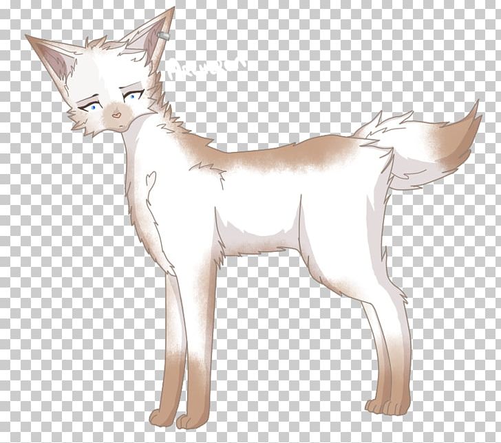 Whiskers Cat Jackal Character Line Art PNG, Clipart, Animals, Carnivoran, Cat, Cat Like Mammal, Character Free PNG Download