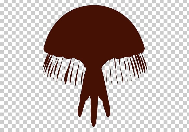 Box Jellyfish Aquatic Animal Lion's Mane Jellyfish PNG, Clipart,  Free PNG Download