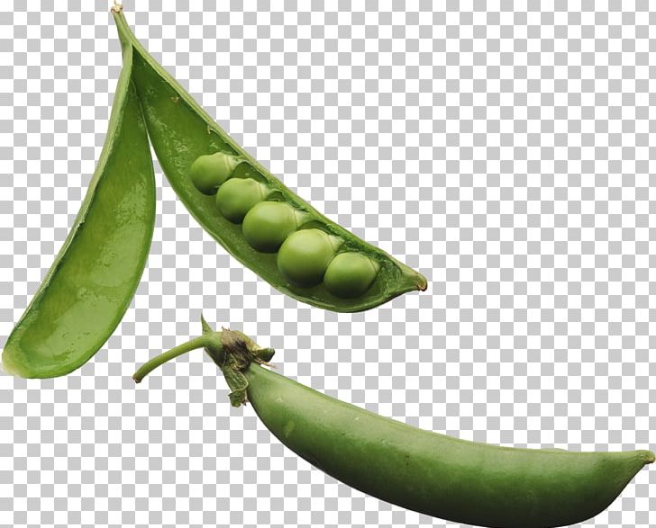 Pea Legume Plant Vegetable Phenotypic Trait PNG, Clipart, Allele, Broad Bean, Commodity, Cooking Plantain, Food Free PNG Download