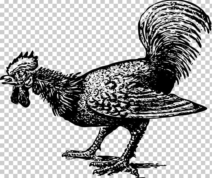 Rooster Chicken Poultry Farming Cock A Doodle Doo Bird PNG, Clipart, Animals, Art, Beak, Bird, Black And White Free PNG Download