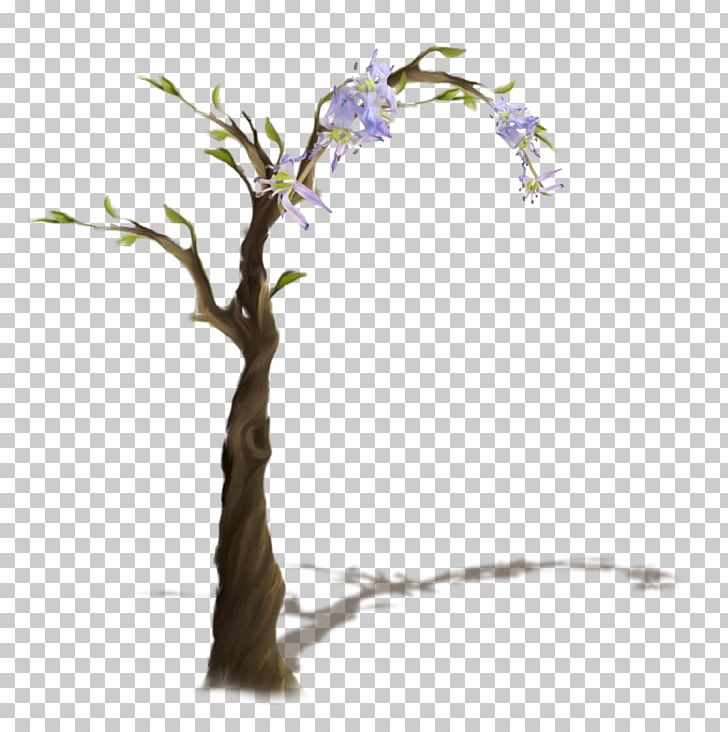 Twig Tree PNG, Clipart, Branch, Computer Font, Flower, Flowers, Houseplant Free PNG Download