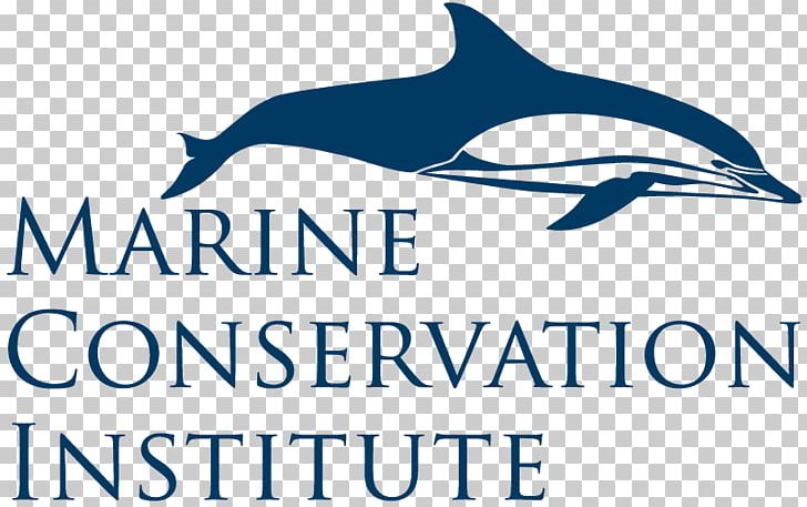 World Ocean Marine Conservation Institute Earth PNG, Clipart, Brand, Common Bottlenose Dolphin, Conservation, Deep Sea, Dolphin Free PNG Download