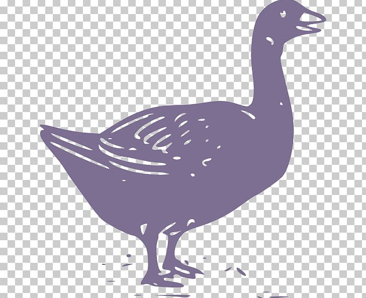 Duck Swan Goose Chicken Mute Swan PNG, Clipart, Anatidae, Animals, Beak, Bird, Cartoon Goose Free PNG Download