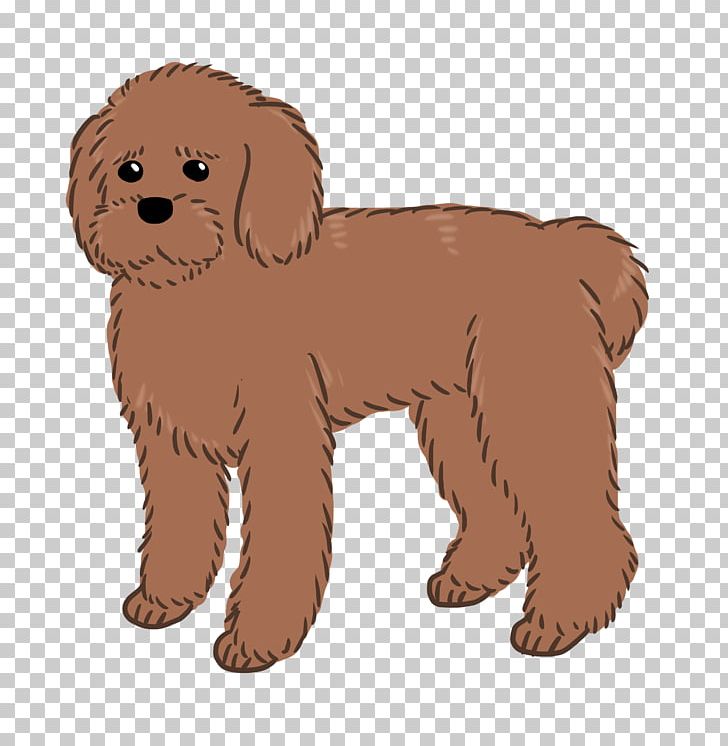 Goldendoodle Schnoodle Puppy Dog Breed Companion Dog PNG, Clipart, Animals, Breed, Carnivoran, Companion Dog, Coo Free PNG Download