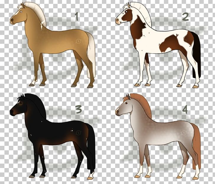 Mustang Foal Stallion Colt Mare PNG, Clipart, Animal, Animal Figure, Colt, Foal, Horse Free PNG Download