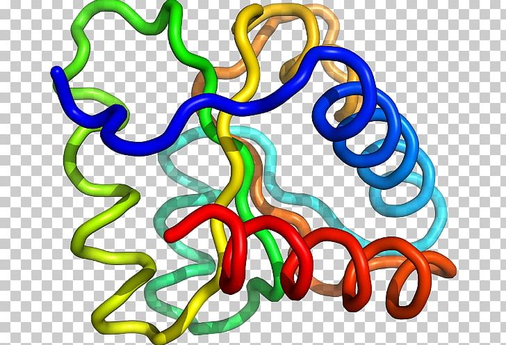 Organism Line Body Jewellery PNG, Clipart, Animal, Animal Figure, Artwork, Body Jewellery, Body Jewelry Free PNG Download