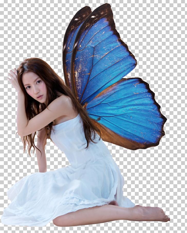 butterfly wings png