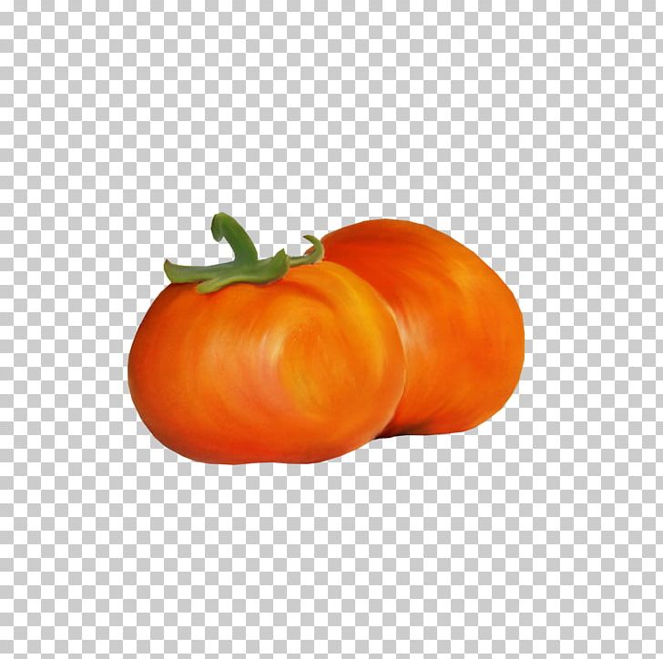 Orange Pumpkin Gratis PNG, Clipart, Clem, Euclidean Vector, Food, Free Logo Design Template, Fruit Free PNG Download