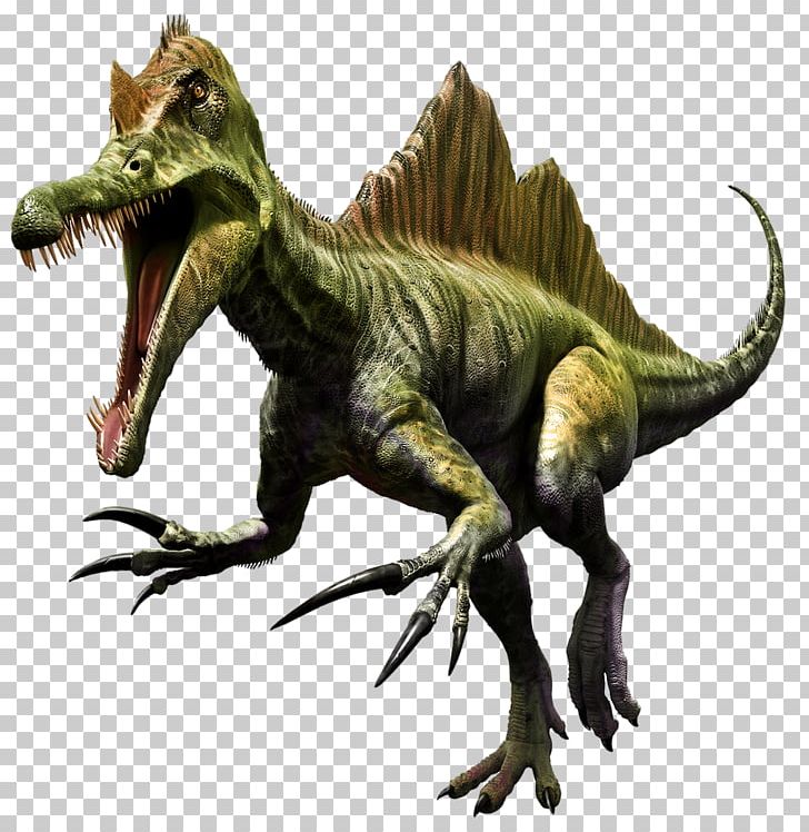 Spinosaurus Tyrannosaurus Dinosaur Portable Network Graphics PNG, Clipart, Dino, Dinosaur, Dinosaurus, Extinction, Fantasy Free PNG Download