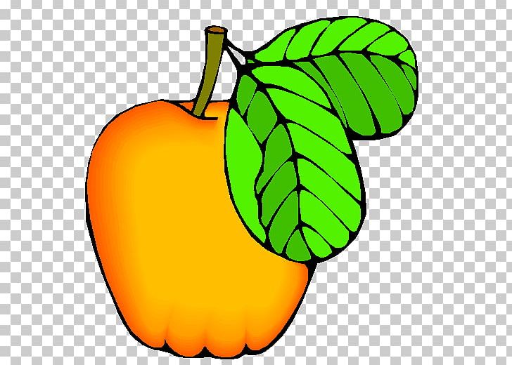 Apple Cucurbita Auglis Fruit PNG, Clipart, Apple, Artwork, Auglis, Blog, Capsicum Annuum Free PNG Download