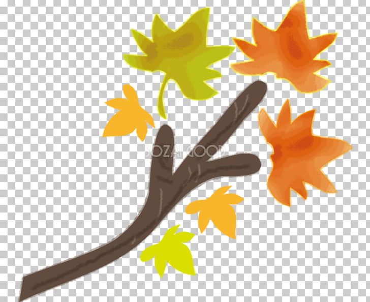 Branch Autumn Leaf Color Autumn Leaf Color Plant Stem PNG, Clipart, Artificial Intelligence, Autumn, Autumn Leaf Color, Branch, Flora Free PNG Download