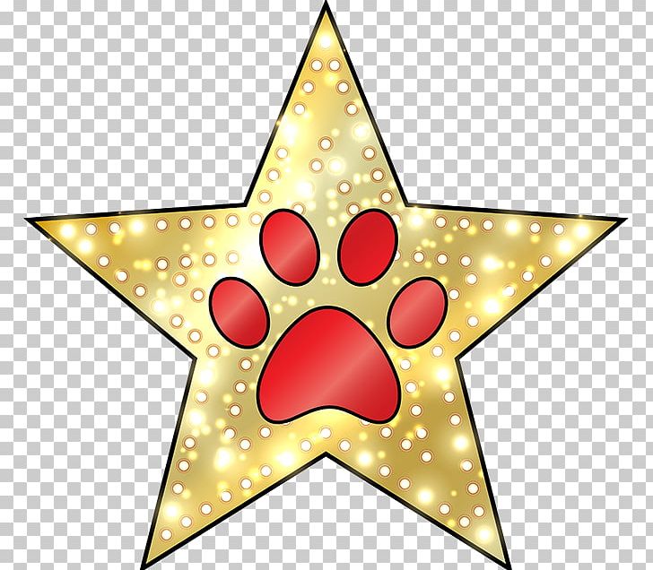Christmas Ornament Star Point PNG, Clipart, Christmas, Christmas Decoration, Christmas Ornament, Lucky Dog, Petal Free PNG Download