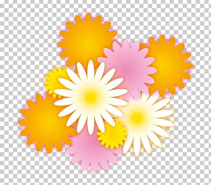 Drawing Common Daisy PNG, Clipart, Cartoon, Circle, Common Daisy, Computer Wallpaper, Dahlia Free PNG Download
