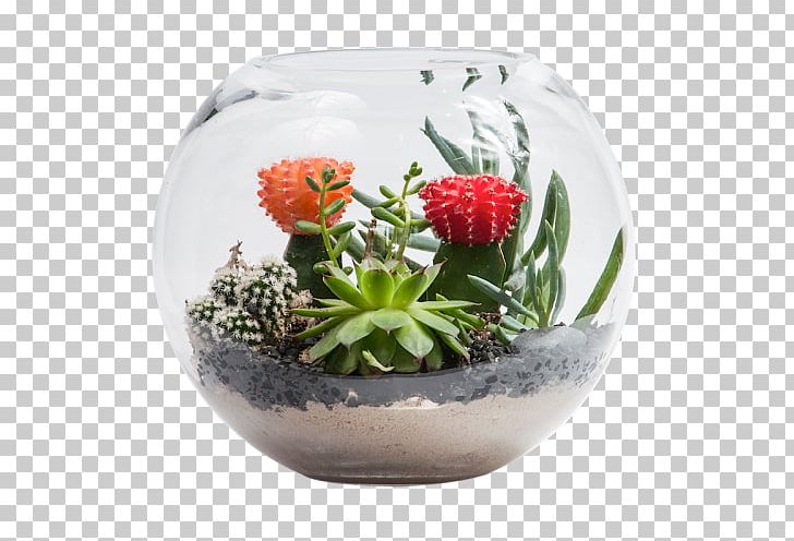 Flowerpot Succulent Plant Cactus Garden Bowl PNG, Clipart, Bowl, Cactaceae, Cactus Garden, Ceramic, Flower Free PNG Download