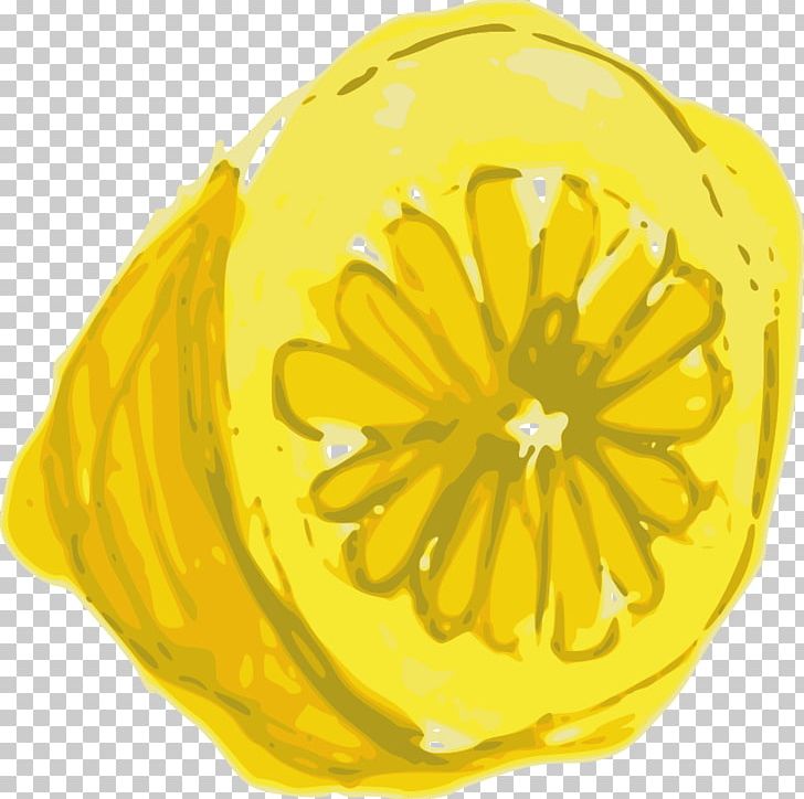 Lemon Computer Icons Citron PNG, Clipart, Calabaza, Cartoon, Citron, Citrus, Citrus Junos Free PNG Download