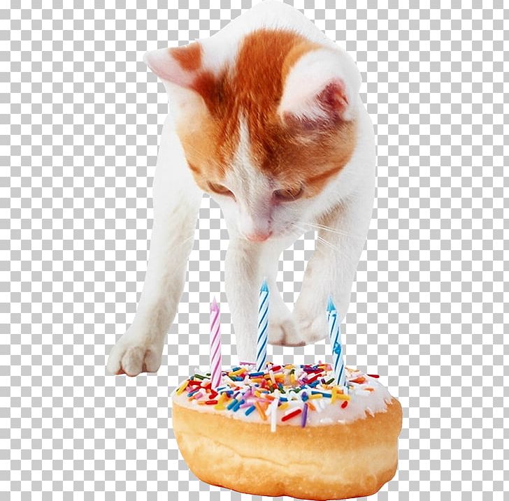 Birthday Cake Cat Whiskers Kitten PNG, Clipart, Animal, Birthday, Birthday Background, Birthday Cake, Birthday Card Free PNG Download