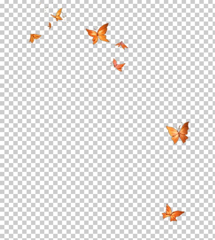 Butterfly Light Pixel PNG, Clipart, Angle, Area, Blue Butterfly, Butter, Butterflies Free PNG Download