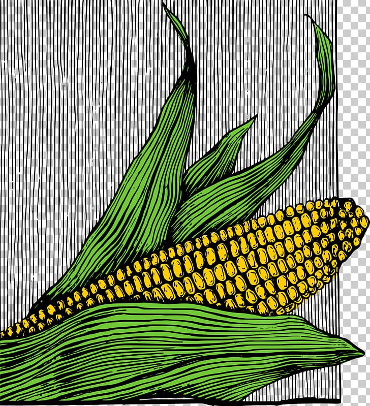 Corn On The Cob Popcorn Corn Dog Corn Flakes Maize PNG, Clipart, Commodity, Computer Icons, Corn, Corncob, Corn Dog Free PNG Download