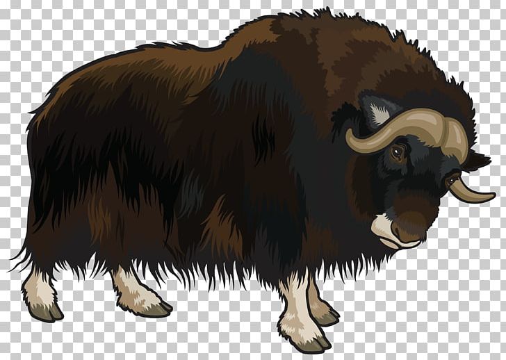 Domestic Yak PNG, Clipart, African Buffalo, African Forest Buffalo, Bison, Bull, Car Free PNG Download