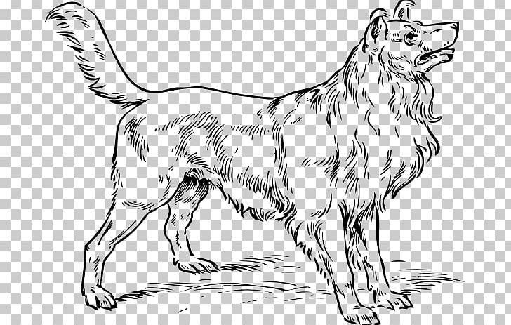 Rough Collie Puppy Bark PNG, Clipart, Ani, Artwork, Bark, Big Cats, Black And White Free PNG Download