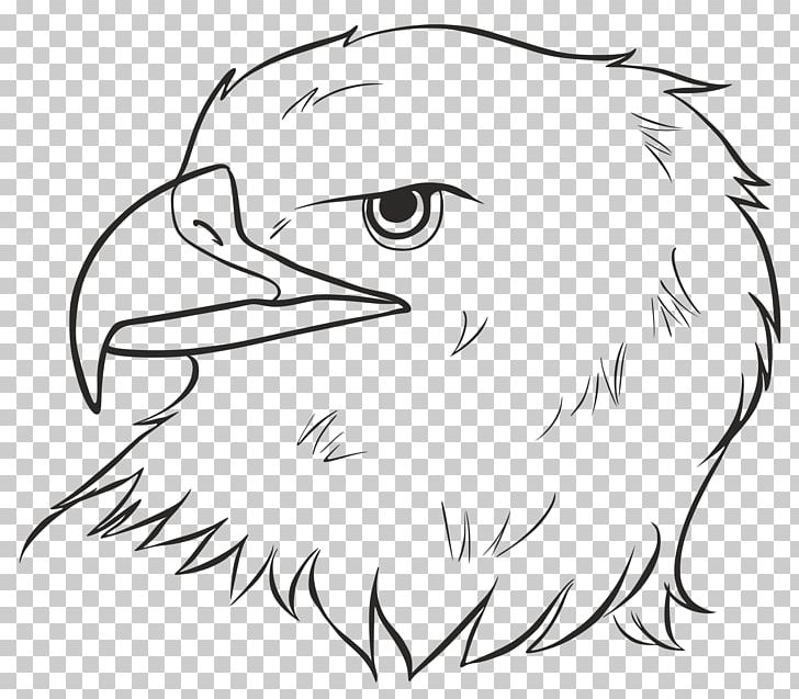 Bald Eagle Beak Bird Drawing PNG, Clipart, Animals, Art, Artwork, Bald Eagle, Bird Free PNG Download