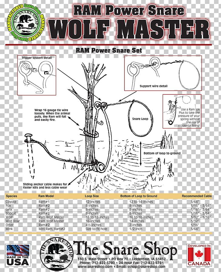 Drawing Snare Drums The Snare Shop Diagram PNG, Clipart, Angle, Area, Artwork, Cartoon, Diagram Free PNG Download