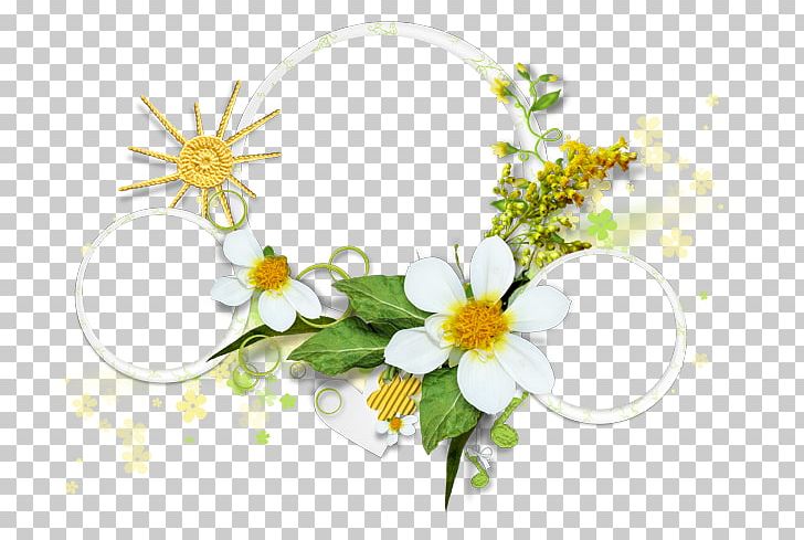 Flower Floral Design Photography PNG, Clipart, Cerceveler, Computer Wallpaper, Cut Flowers, Daisy, Desktop Wallpaper Free PNG Download
