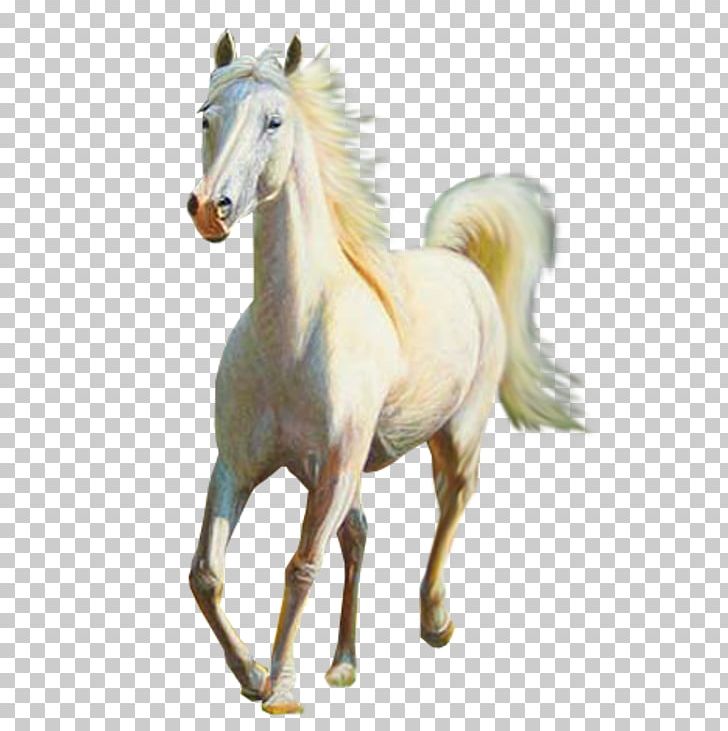 Horse Equestrian Centre .net Animal PNG, Clipart, Animal, Animal Figure, Animals, Atlar, At Resimleri Free PNG Download