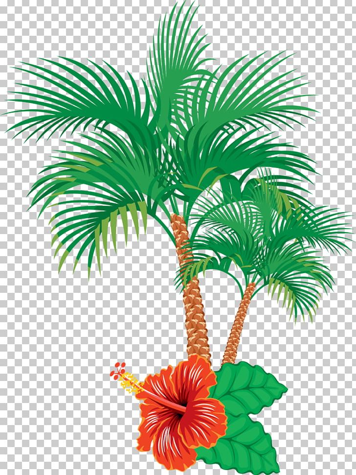 Graphics Illustration Palm Trees PNG, Clipart, Arecales, Coco Tree, Deco, Drawing, Flowering Plant Free PNG Download