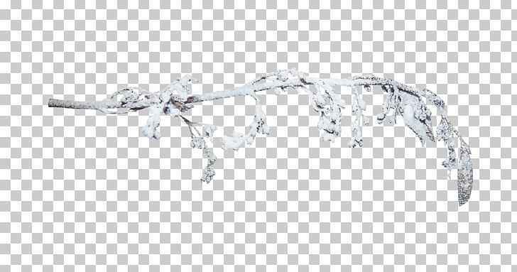 Snow Branch PNG, Clipart, 3d Computer Graphics, Angle, Body Jewelry, Branch, Branches Free PNG Download