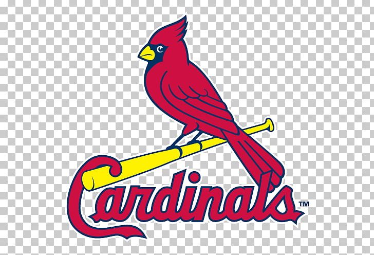 St. Louis Cardinals MLB Palm Beach Cardinals St. Louis Blues PNG, Clipart, Area, Art, Baseball, Beak, Bird Free PNG Download