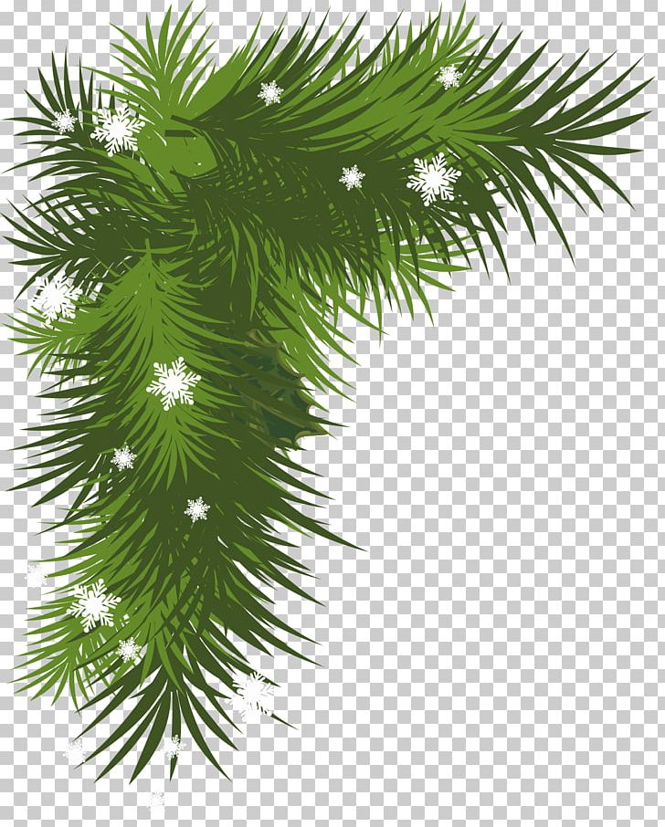 Christmas Decoration Christmas Tree PNG, Clipart, Arecales, Borassus Flabellifer, Branch, Christmas, Christmas Clipart Free PNG Download