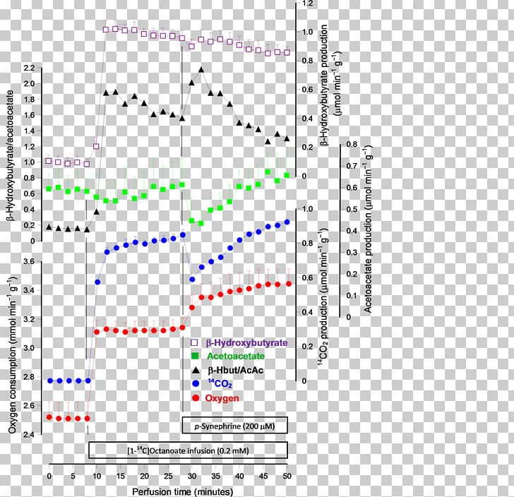 Line Point Angle Diagram PNG, Clipart, Angle, Area, Art, Cause Of Action, Diagram Free PNG Download