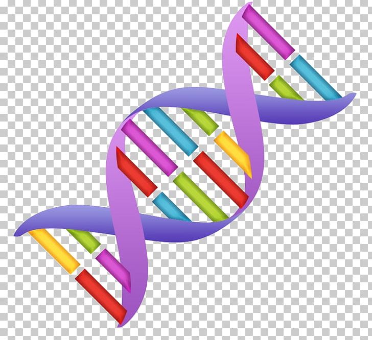 Nucleic Acid Double Helix DNA PNG, Clipart, Blog, Clip Art, Computer Icons, Dna, Dna Replication Free PNG Download
