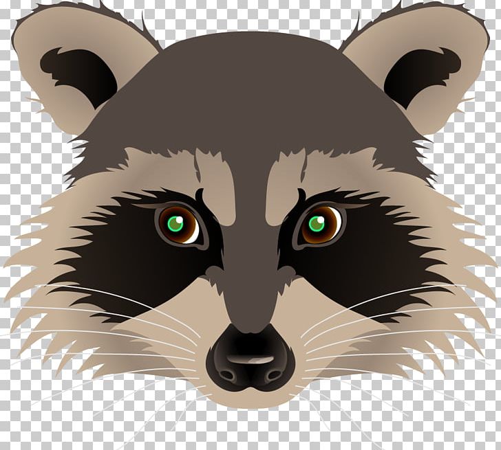 Raccoon Drawing Painting PNG, Clipart, Animals, Art, Bear, Big Cats, Carnivoran Free PNG Download