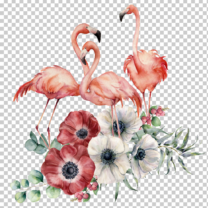 Flamingo PNG, Clipart, Bird, Feather, Flamingo, Flower, Greater Flamingo Free PNG Download