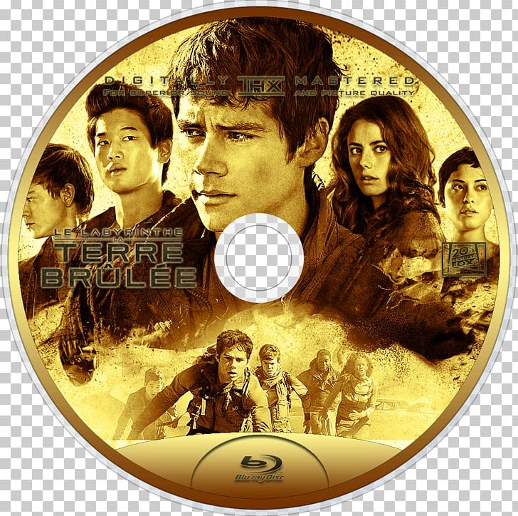 Dylan O'Brien Maze Runner: The Scorch Trials DVD PNG, Clipart,  Free PNG Download
