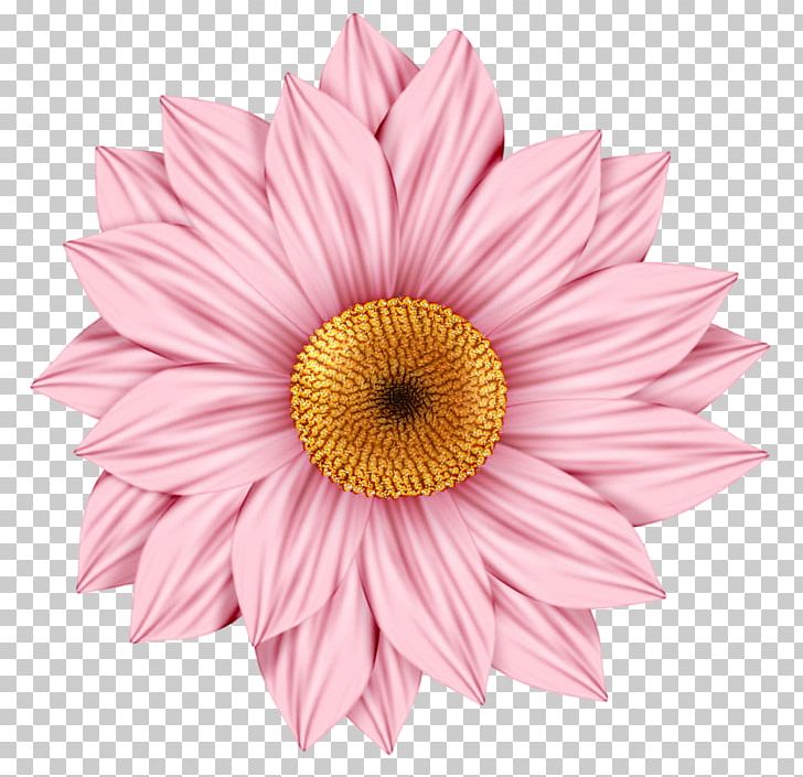 Facebook Desktop PNG, Clipart, Avatar, Chrysanths, Cut Flowers, Dahlia, Daisy Family Free PNG Download