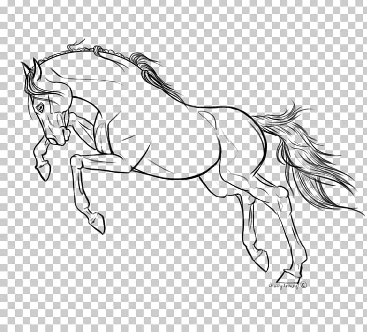 Line Art Arabian Horse Drawing Pony Stallion PNG, Clipart, Arm, Deviantart, Fictional Character, Horse, Horse Supplies Free PNG Download