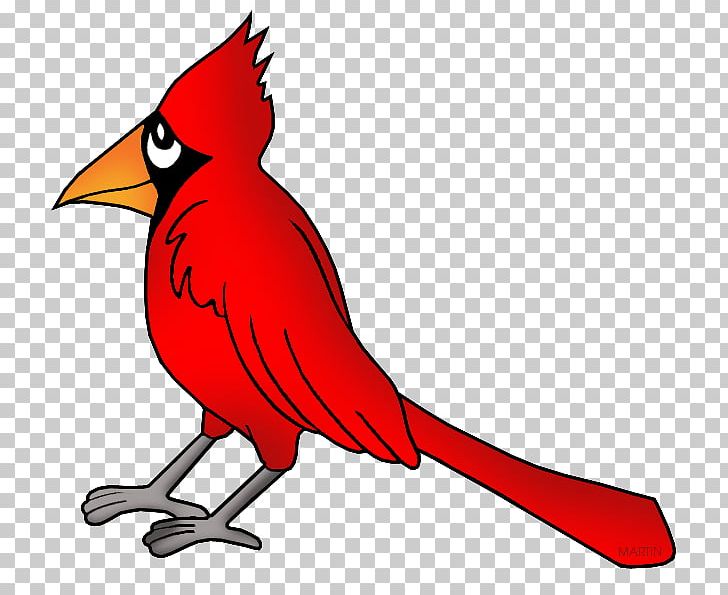 Northern Cardinal Bird PNG, Clipart, Animals, Art, Artwork, Beak, Bird Free PNG Download