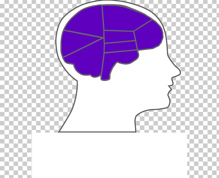 Outline Of The Human Brain PNG, Clipart, 4images, Angle, Area, Brain, Circle Free PNG Download