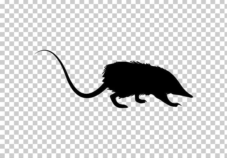 Rat Cat Mouse Computer Icons PNG, Clipart, Animal, Animals, Black, Black And White, Carnivoran Free PNG Download
