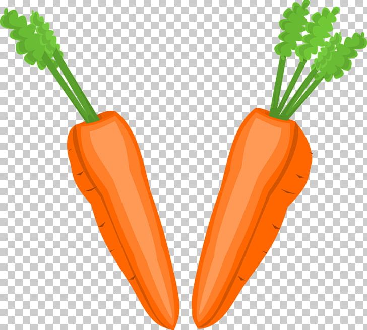 Vegetable Fruit Carrot Food PNG, Clipart, Baby Carrot, Carrot, Cliparts Baby Carrots, Download, Food Free PNG Download