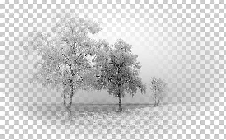 YouTube Photography Text Winter PNG, Clipart, Autumn, Black And White, Blizzard, Branch, Camera Free PNG Download
