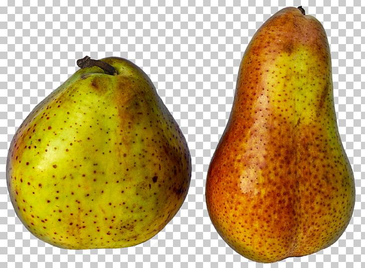 European Pear Asian Pear Fruit Kolach Pome PNG, Clipart, Accessory Fruit, Amygdaloideae, Apple, Asian Pear, Auglis Free PNG Download