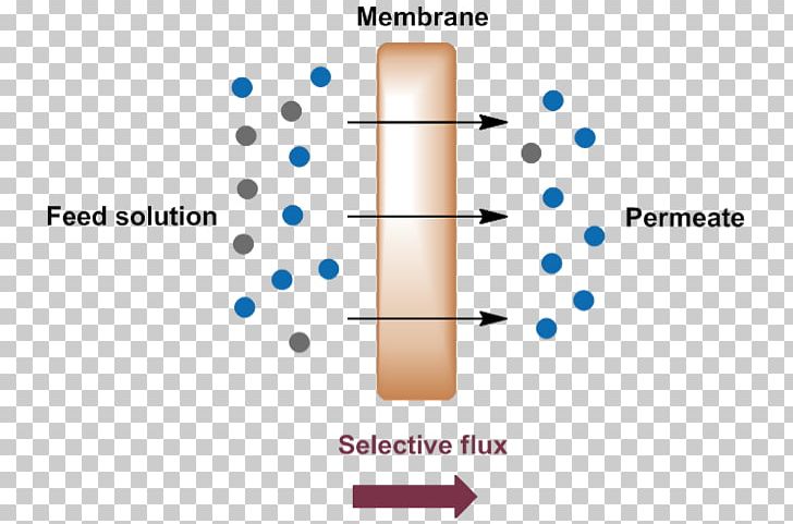 Membrane Technology Separation Process Nanofiltration PNG, Clipart, Angle, Application, Brand, Concentration, Cylinder Free PNG Download