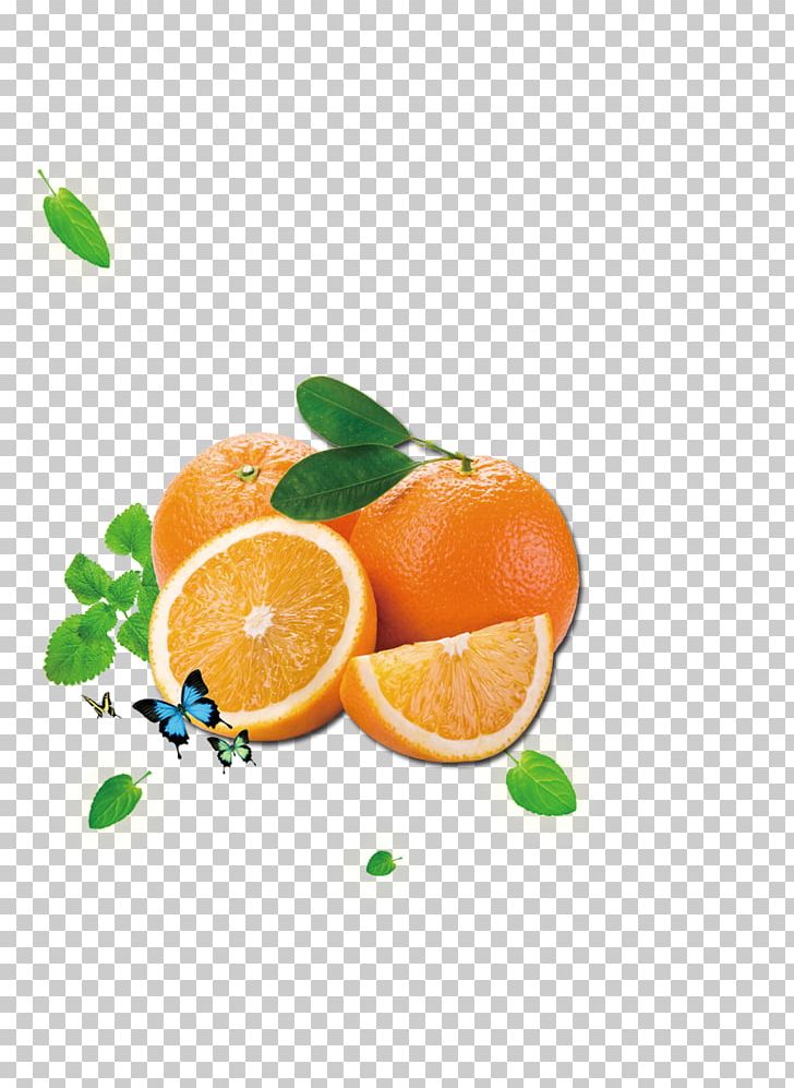 Orange Juice Citrus Xd7 Sinensis Cam Sxe0nh PNG, Clipart, Butterflies, Butterfly, Butterfly Group, Cam Sxe0nh, Citric Acid Free PNG Download