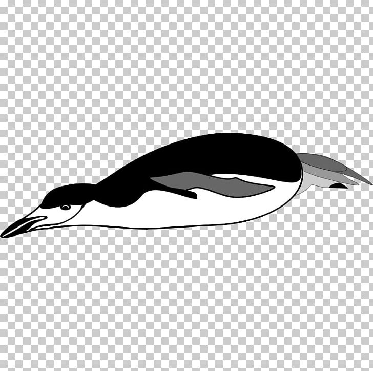 Penguin Drawing Computer Icons PNG, Clipart, Animals, Beak, Bird, Black And White, Computer Icons Free PNG Download