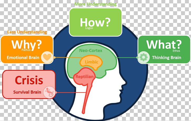 Triune Brain Limbic System Learning Neurotransmitter PNG, Clipart, Apprendimento Online, Area, Audience, Brain, Brand Free PNG Download