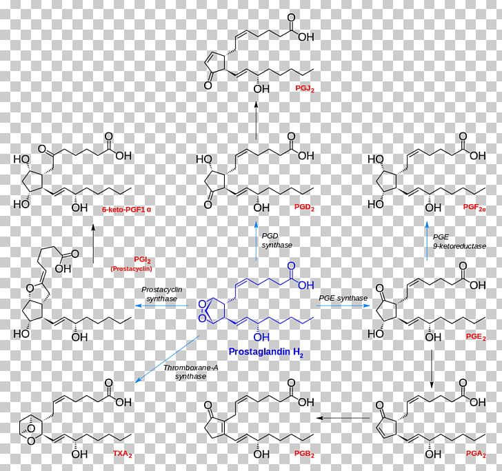Prostanoid Prostaglandin H2 Chemical Synthesis Prostacyclin PNG, Clipart, Analysis, Angle, Arachidonic Acid, Area, Auto Part Free PNG Download
